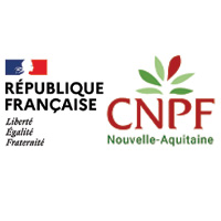 LOGO 7